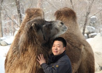 散文欣赏——王族：《烤羊肉串和烤包子》