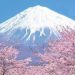 新世纪二十年日本文学回望